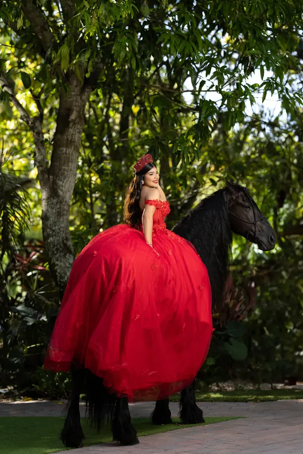 Fotografía artística de quinceañera en Vizcaya Miami
